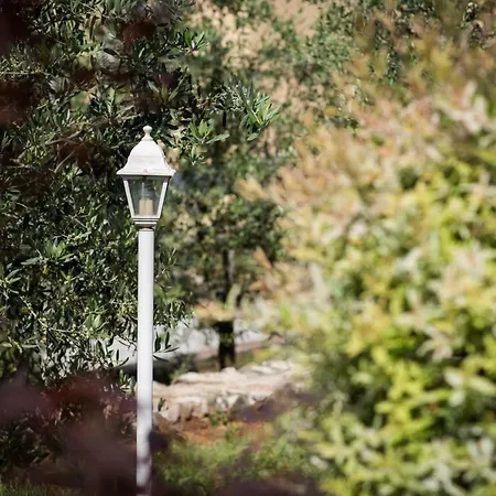 Apartman Marija & Anton *