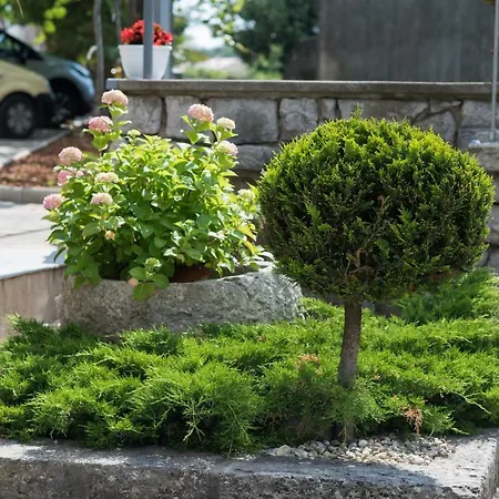 Marija & Anton Apartman Malinska